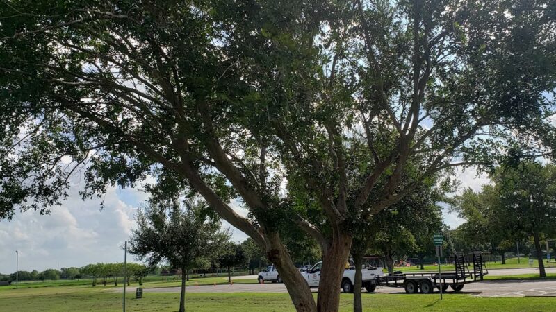 Friendship Park - El Campo, TX