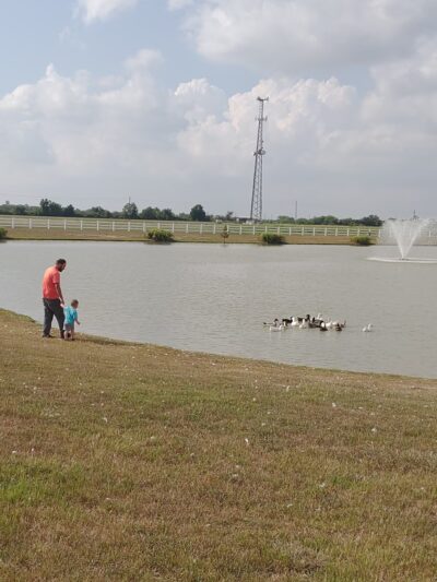 Legacy Park - El Campo, TX