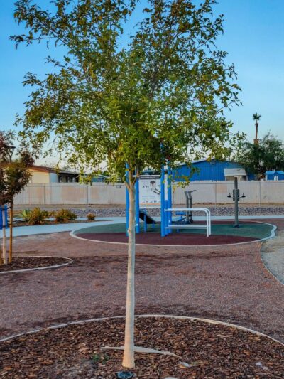 First Responders Park - El Centro, CA