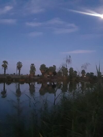 Sunbeam Lake RV Resort - El Centro, CA