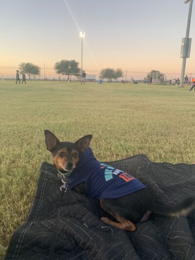 Sunflower Park - El Centro, CA
