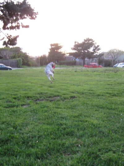 Princeton by the Sea Park - El Granada, CA