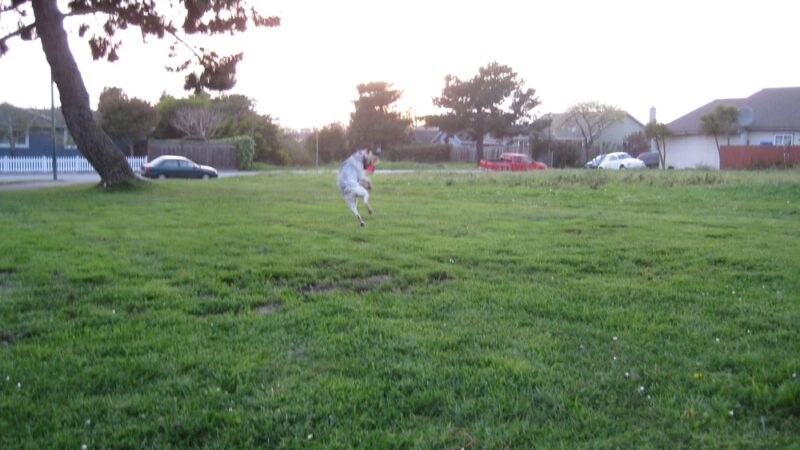 Princeton by the Sea Park - El Granada, CA