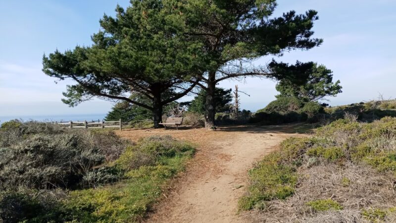 Princeton by the Sea Park - El Granada, CA