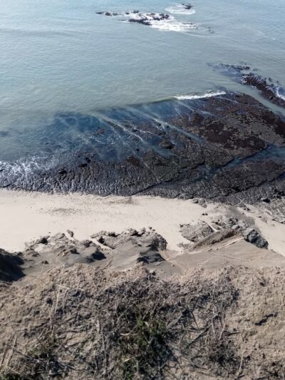 Princeton by the Sea Park - El Granada, CA