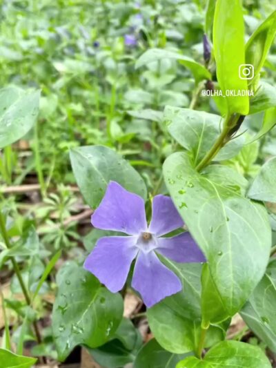 Quarry Park - El Granada, CA