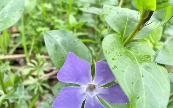 Quarry Park - El Granada, CA