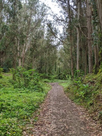 Quarry Park - El Granada, CA