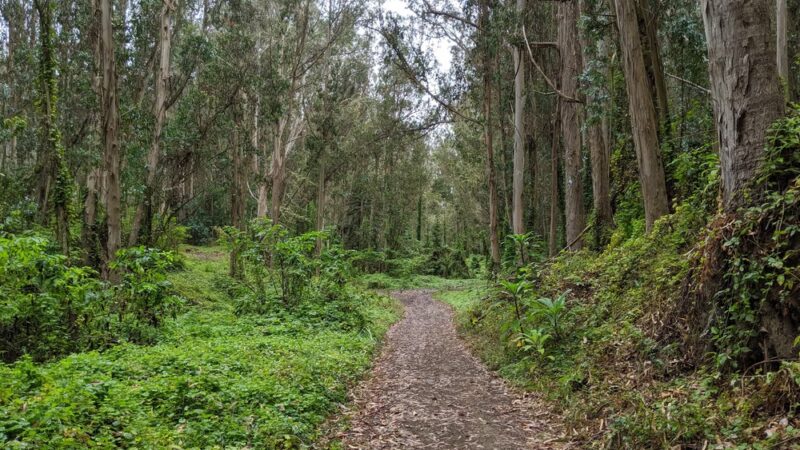 Quarry Park - El Granada, CA