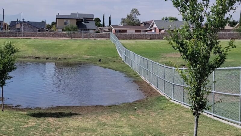 Joey Barraza and Vino Memorial Park - El Paso, TX