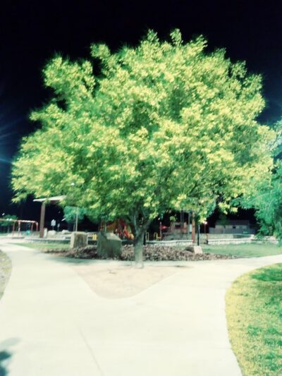 Jorge Almada Park - El Paso, TX