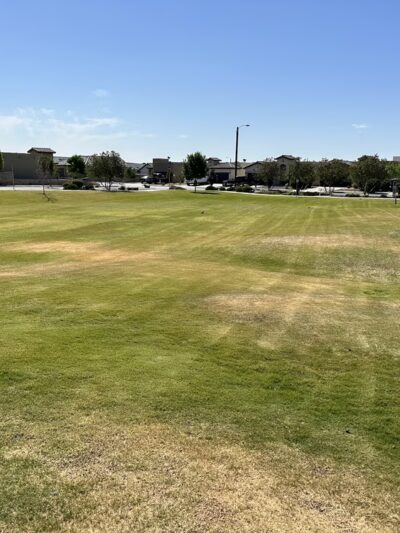 Lartington Park - El Paso, TX