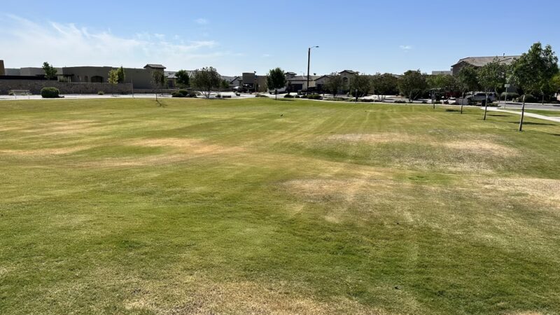 Lartington Park - El Paso, TX