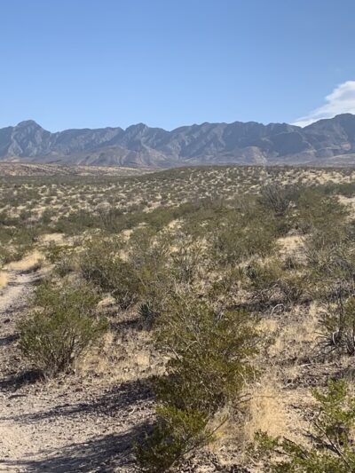 Lost Dog Trail Head - El Paso, TX