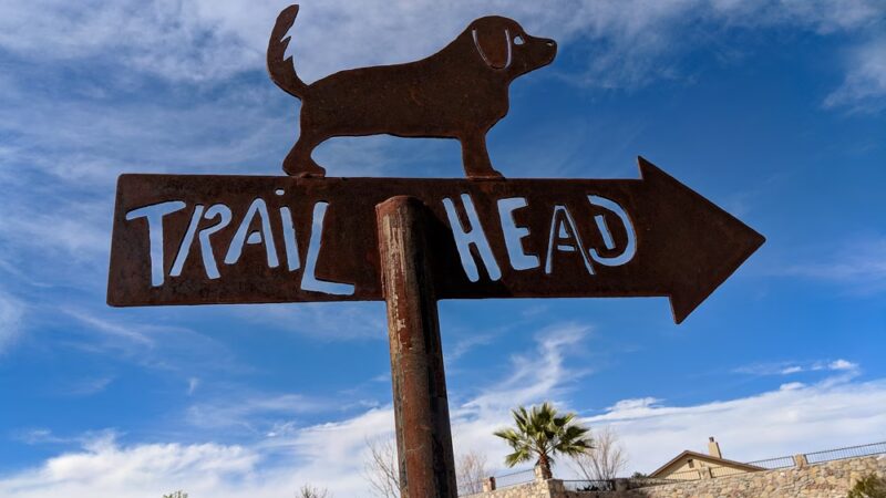 Lost Dog Trail Head - El Paso, TX