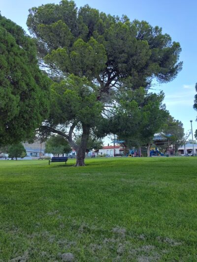 Newman Park - El Paso, TX
