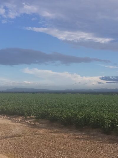 Tierra Del Este - El Paso, TX