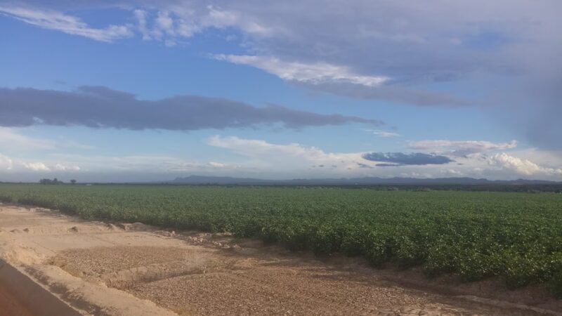 Tierra Del Este - El Paso, TX