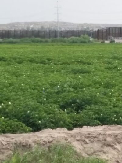 Tierra Del Este - El Paso, TX