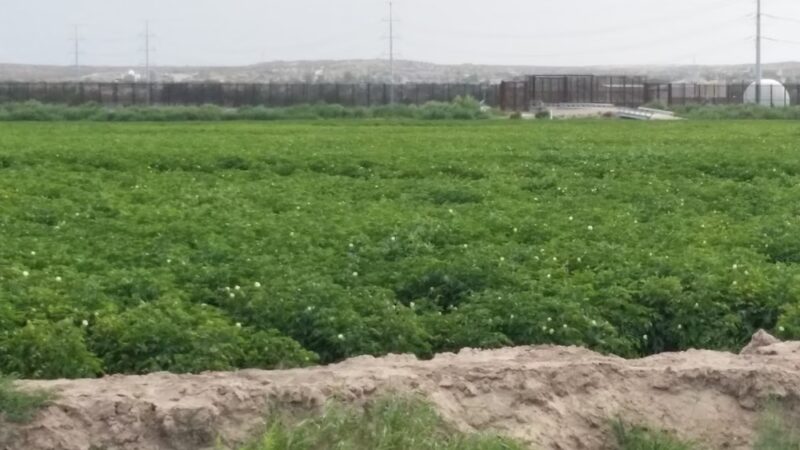 Tierra Del Este - El Paso, TX