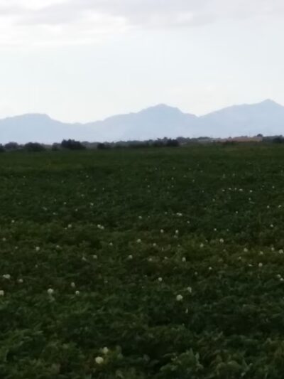 Tierra Del Este - El Paso, TX