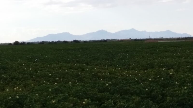 Tierra Del Este - El Paso, TX