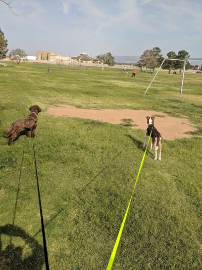Walter Clarke Park - El Paso, TX