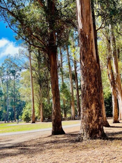 Kennedy Grove Regional Recreation Area - El Sobrante, CA