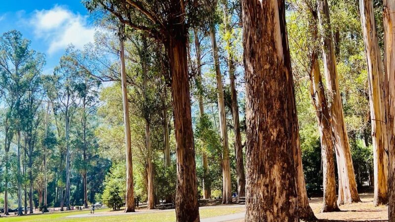 Kennedy Grove Regional Recreation Area - El Sobrante, CA