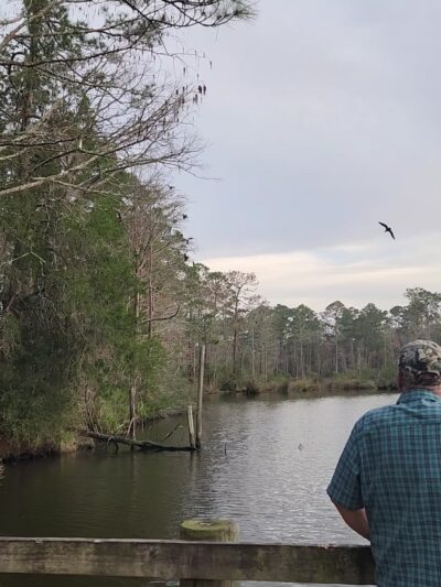 Wolf Creek Park - Elberta, AL