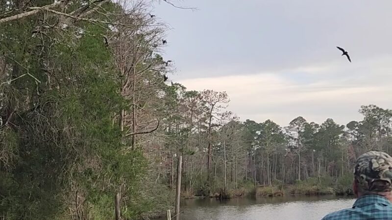 Wolf Creek Park - Elberta, AL