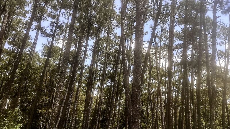 Wolf Creek Park - Elberta, AL