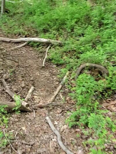Liberty Reservoir - Eldersburg, MD