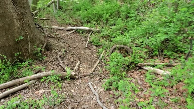 Liberty Reservoir - Eldersburg, MD