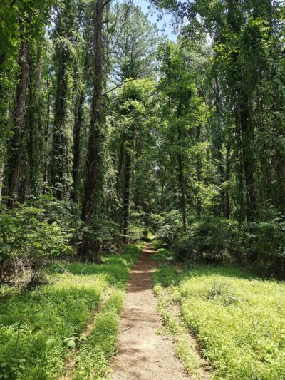 Liberty Reservoir - Eldersburg, MD