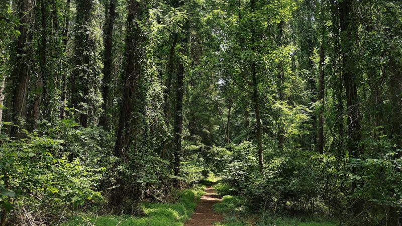 Liberty Reservoir - Eldersburg, MD