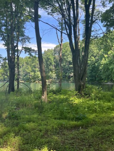 Shorline Trail - Eldersburg, MD