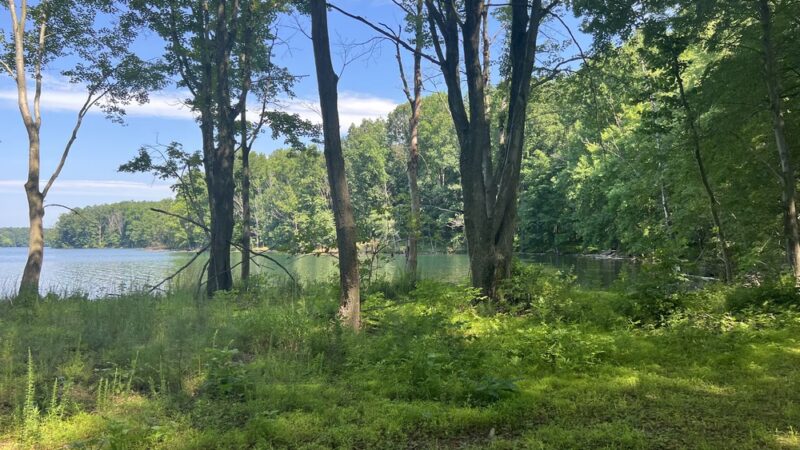 Shorline Trail - Eldersburg, MD