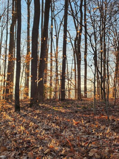 Shorline Trail - Eldersburg, MD