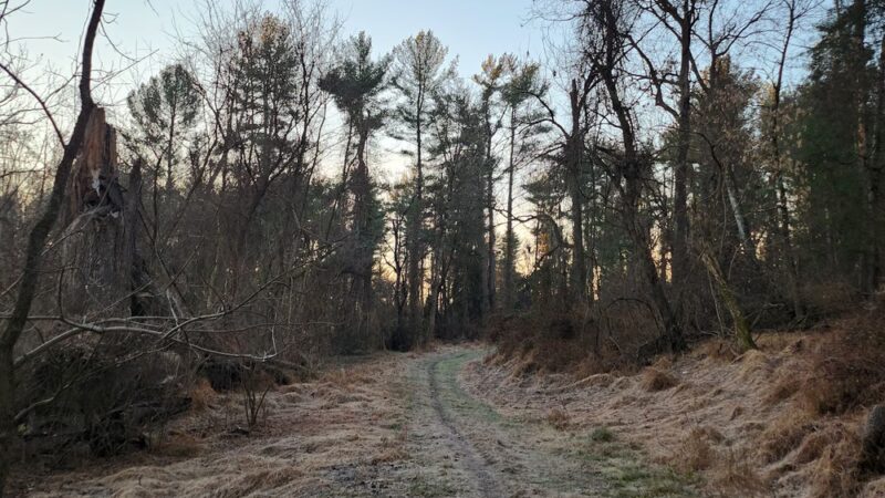 Shorline Trail - Eldersburg, MD
