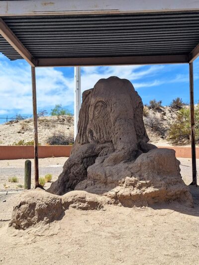 Elephant Butte Lake State Park - Elephant Butte, NM