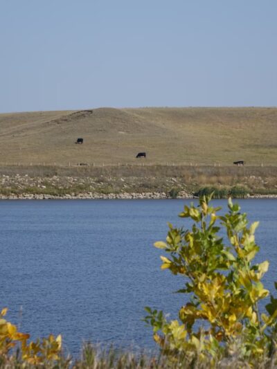 Sheep Creek Dam - Elgin, ND