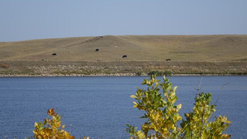 Sheep Creek Dam - Elgin, ND
