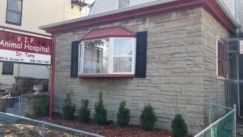 VIP Animal Hospital - Elizabeth, NJ