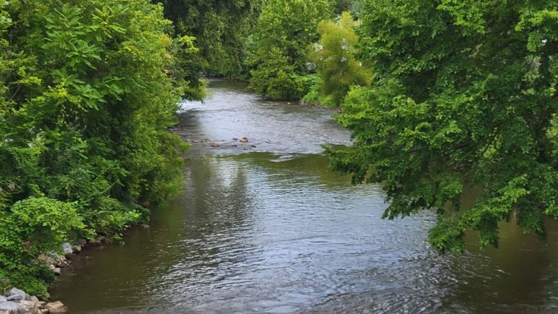 Edward's Island Park - Elizabethton, TN