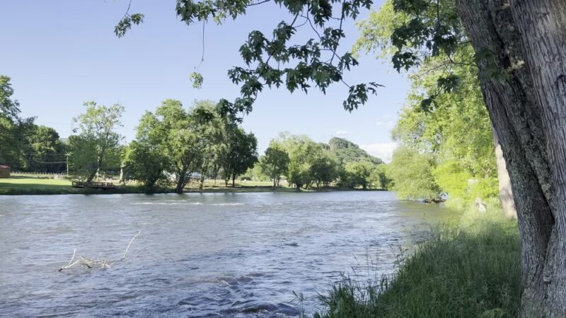 Riverside Park And Playground, Sheltered Tables - Elizabethton, TN