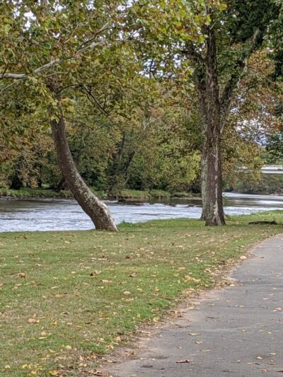 Riverside Park And Playground, Sheltered Tables - Elizabethton, TN