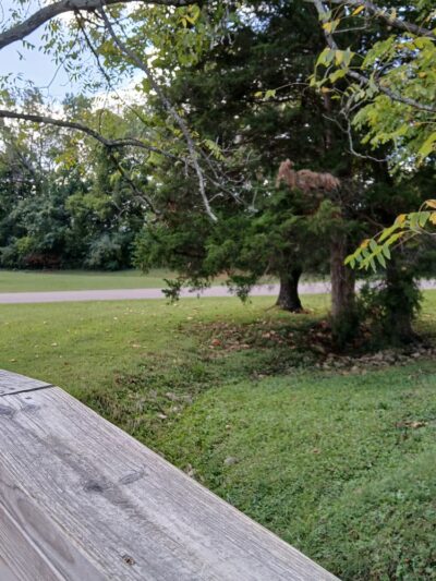 Freeman Lake - Elizabethtown, KY