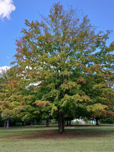 Freeman Lake - Elizabethtown, KY
