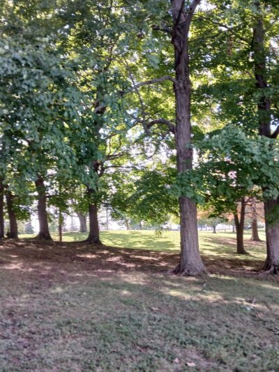 Freeman Lake - Elizabethtown, KY